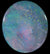 1003 Large Solid SEMI-BLACK Opal 13.53ct Retail Valuation 2800.00! freeshipping - Global Opals