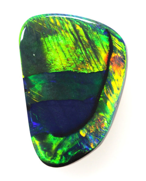 Harlequin Black Opal