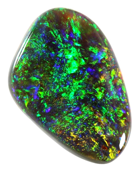 Quality Gem Black Opal