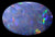 Brilliant Big Opal 26.70ct..Red Multi Colour! 1094 freeshipping - Global Opals