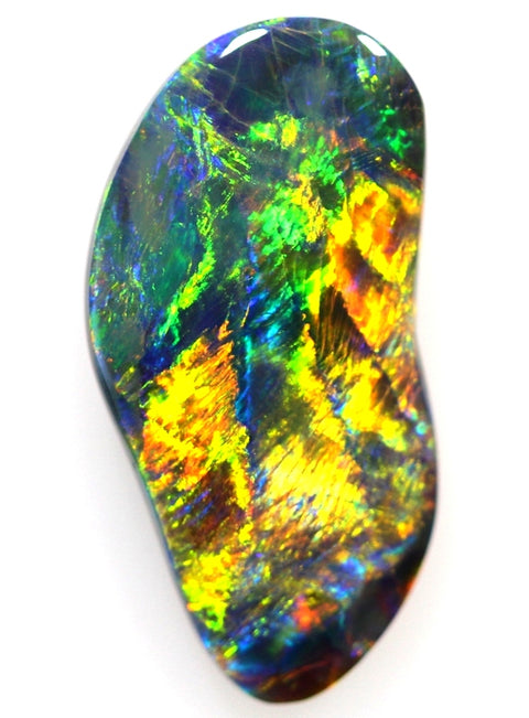 Broad-Flash Black Opal