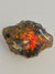 Gem Quality Unique Brilliant Red Fossil Specimen 7.50ct GJM-032 freeshipping - Global Opals