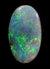 Natural Solid Lightning Ridge Dark Colourful Opal 4.76ct / 205 freeshipping - Global Opals