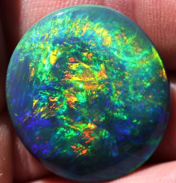 Brilliant Large Black Opal Gemstone (Val Cert $37+K)! (360) 33.12