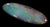 Lightning Ridge Solid Opal  Long Pointed-Oval Shape 11.41ct / 703 freeshipping - Global Opals