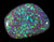 Natural Bright Opal