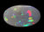2.76ct Lightning Ridge Solid Semi-Black Opal 1661 freeshipping - Global Opals