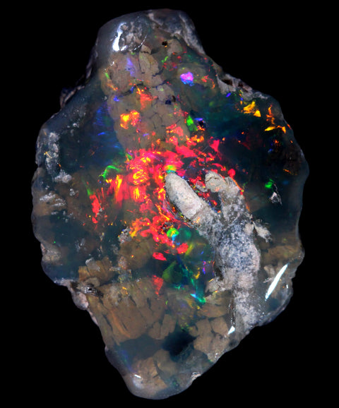 Gem Quality Unique Brilliant Red Fossil Specimen 7.50ct GJM-032