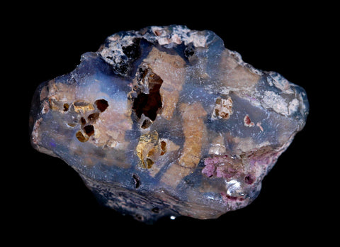 Gem Quality Unique Brilliant Red Fossil Specimen 7.50ct GJM-032