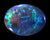 Feather Pattern blue Bright Opal