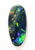 Green-Blue-Orange Bright Solid Black Opal! 2102 / 1.50cts freeshipping - Global Opals