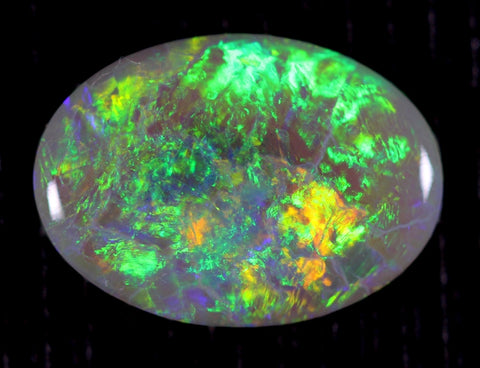 Solid Dark Opal