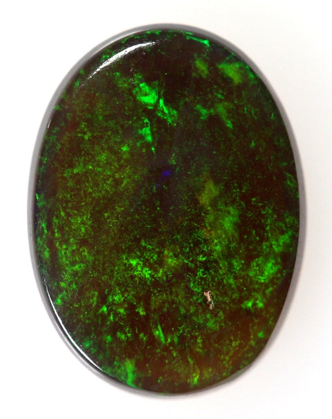 1.13 carat gorgeous green solid Opal