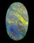 Brilliant Black Opal