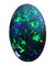 2.55 carat floral pattern solid black Opal