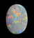 Floral Pattern Solid Light opal